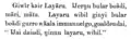 Eng used in a 1875 Gamilaraay text.