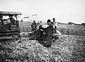 Rabbis from Jerusalem supervise the harvest of wheat in Kibbutz Gan Shmuel, in order to make sure that the wheat is kosher for making Shmurah matzah (1930–1938)