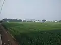 Shandong Agricultural University South Campus East Experimental Field