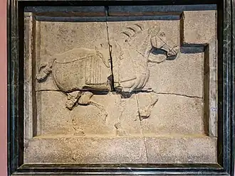 Telebiao Steed at Beilin Museum