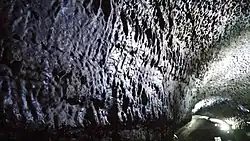 Details of the wall of the cave (2017)