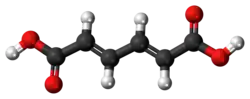 Ball-and-stick model of the trans,trans-muconic acid molecule