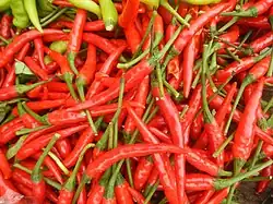 Siling tingala, an F1 hybrid commonly mislabeled as "siling labuyo" in Luzon markets