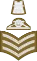 Staff sergeant (Army of Malta)[34]