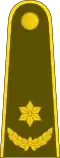 Majoras (Lithuanian Land Force)[51]