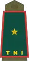 Brigadier General
