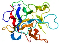 Trypsin inhibitor isolated from the seeds of Erythrina caffra