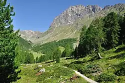 Val di Campo, a hiking trail starting in a valley.