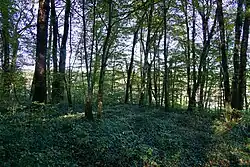 Location of the Sainte-Barbe well.