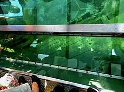 View of a shipwreck in Tobermory, Ontario, Canada