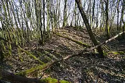 Close-up view of the Saint-Pierre mine slag heap.