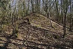 Le terril du puits Sainte-Magnance.