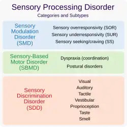 Diagram showing categories and subtypes of sensory processing disorder