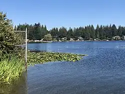 View of a lake from the shoreline