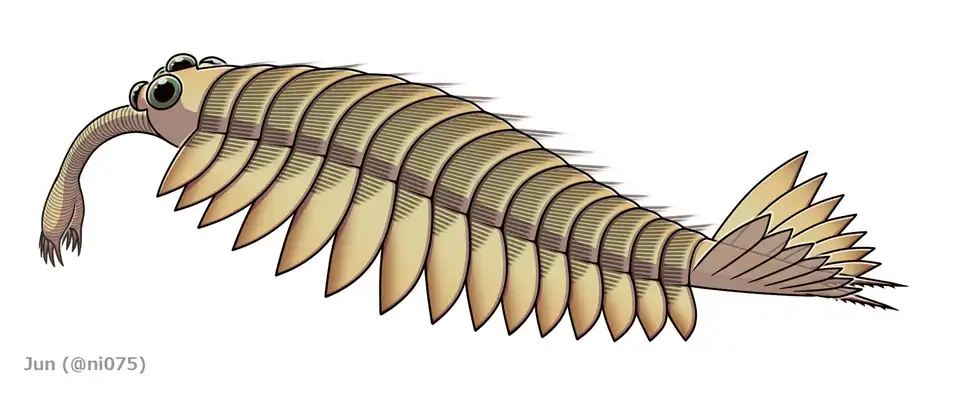 Reconstruction