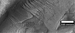 HiRISE image, taken under HiWish program, of gullies in a crater in Terra Sirenum.