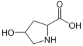 Hydroxyproline. This imino acid differs from proline due to a hydroxyl group on carbon 4.
