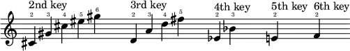 {
\new Staff \with { \remove "Time_signature_engraver" }
\clef treble \key c \major \cadenzaOn
cis'4 \finger \markup \text "2" ^ \markup "2nd key"
gis' \finger \markup \text "3"
cis'' \finger \markup \text "4"
eis'' \finger \markup \text "5"
gis'' \finger \markup \text "6"
\once \hide r2
d'4 \finger \markup \text "2" ^ \markup "3rd key"
a' \finger \markup \text "3"
d'' \finger \markup \text "4"
fis'' \finger \markup \text "5"
\once \hide r2
ees'4 \finger \markup \text "2" ^ \markup "4th key"
bes' \finger \markup \text "3"
\once \hide r1
e'4 \finger \markup \text "2" ^ \markup "5th key"
\once \hide r1
f'4 \finger \markup \text "2" ^ \markup "6th key"
\break
}