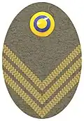 Hat badge (Mössmärke m/1940) for a captain in the army