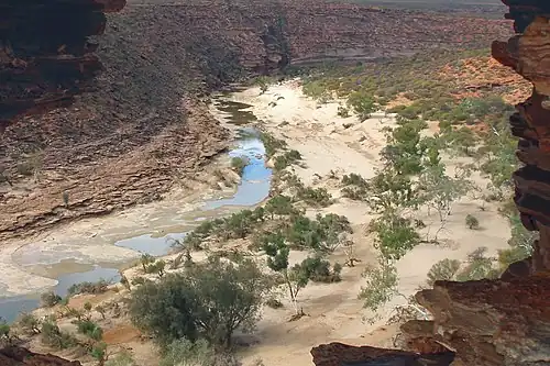 View through Nature's Window