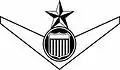 Cadet Senior Pilot Badge