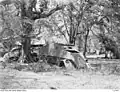 Derelict Overvalwagen Type A in Portuguese Timor, December 1945.