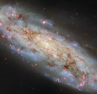 A spiral galaxy in space. It is seen tilted at an angle, as a stormy disc filled with clouds of stars and dust. It is coloured more yellowish in the centre, and bluer out to the edge of the disc, where the ends of curved spiral arms break away from the disc. Spots of red light scattered through the galaxy mark where stars are actively forming. The galaxy is on a black background.