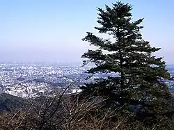 View of Tokyo from Mount Takao