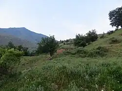 Grasslands of Agios Germanos