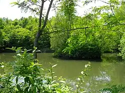Mizudori-no-Ike (Waterfowl Pond)