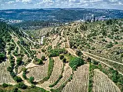 The view from Ora to Hadassah Medical Center. The al-Jura village was mainly on the right spur of the valley