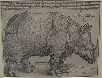 Dürer's Rhinoceros, 1515