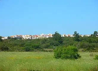 View of Aljaraque from the distance, behind a field and trees