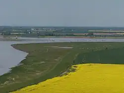 Two rivers meeting surrounded by fields of grass and rapeseed