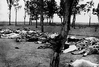 Bodies of dozens of Armenians in a field