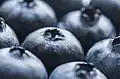 Blueberries