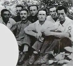 Arcaşii lui Ştefan