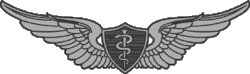 Flight Surgeon Badges