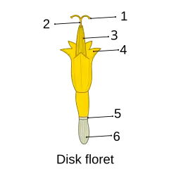 refer to caption and text