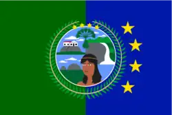 Flag of Autònomo Atures Municipality