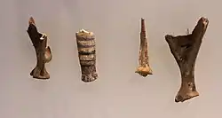 Aurignacian Culture incised animal bones, Hayonim Cave, 28000 BP.