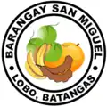 Official seal of San Miguel
