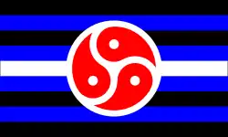 BDSM Rights Flag colour
