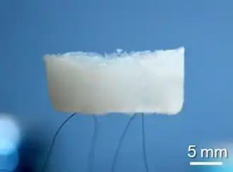 An aerogel held up by hair.[116] (Scientific Reports)