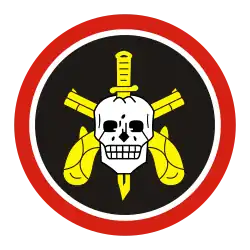 Patch & Beret Badge