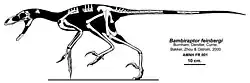 Skeletal restoration