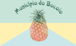 Flag of Bocoio