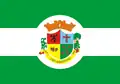 Flag of São Martinho, Santa Catarina