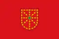 Flag used by Navarrese independentists, sometimes adding the word INDEPENDENTZIA.