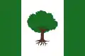 Flag of Olivares de Júcar